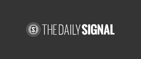 news-media-daily-signal-1